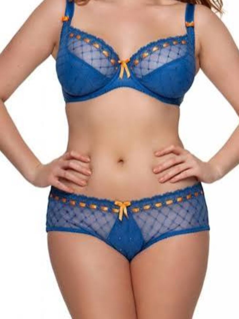 NWT Plus Size Curvy Kate Portia Short Brief - CK43002
